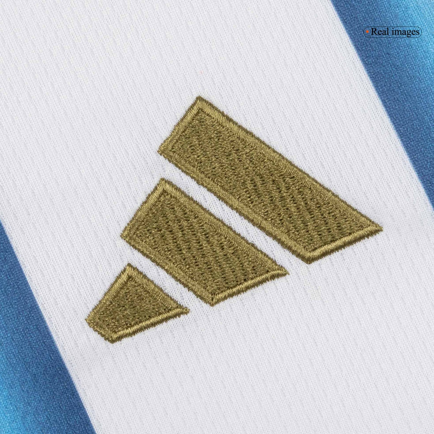 Maglia Replica Argentina Casa Donna 2026